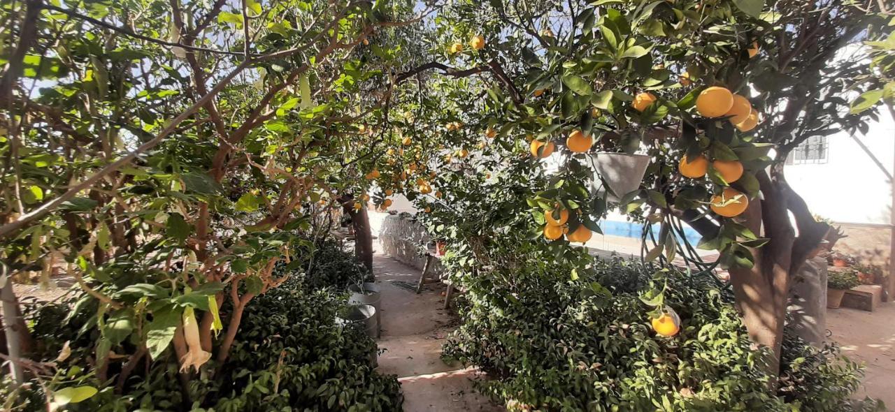 Cortijo Ferre, A Los Pies Del Castillo La Atalaya De Nijar Luaran gambar