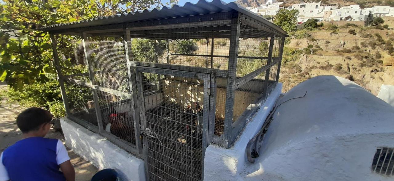 Cortijo Ferre, A Los Pies Del Castillo La Atalaya De Nijar Luaran gambar