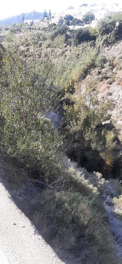 Cortijo Ferre, A Los Pies Del Castillo La Atalaya De Nijar Luaran gambar